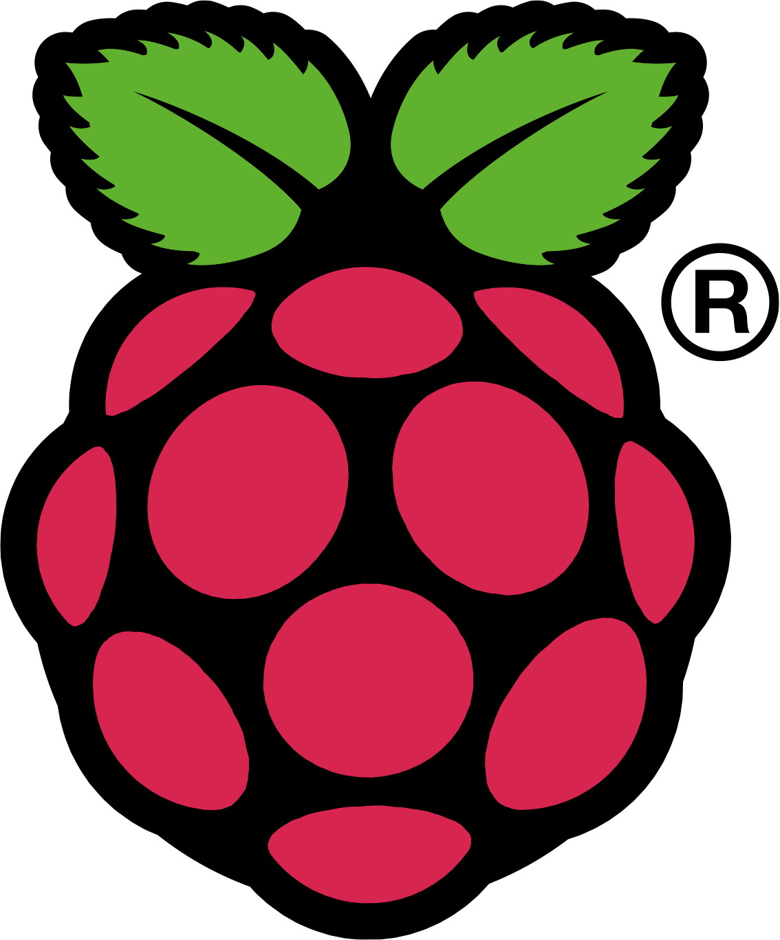 Read more about the article Raspberry Pi + WordPress => A Beginners Guide to PiPress